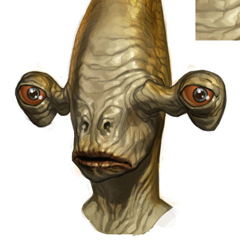 Rakata (Star Wars the Old Republic)